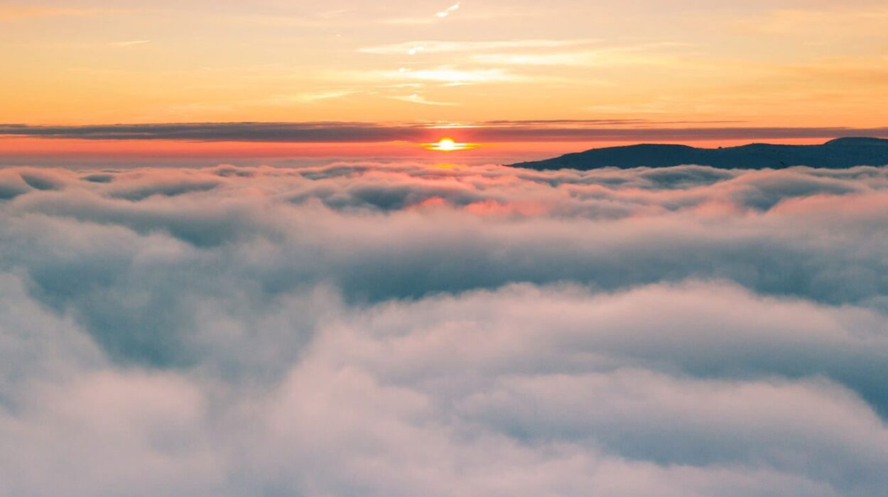 sky filled with clouds during sunset.